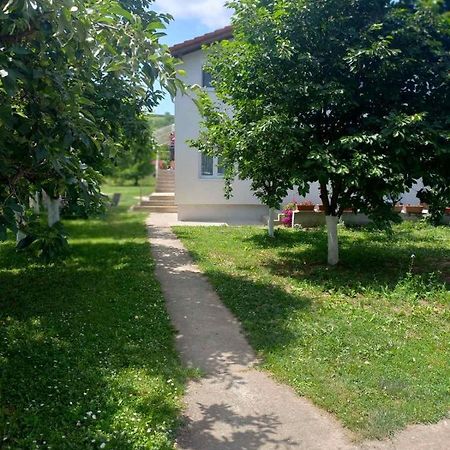 Apartman Flora Vrdnik Exterior photo