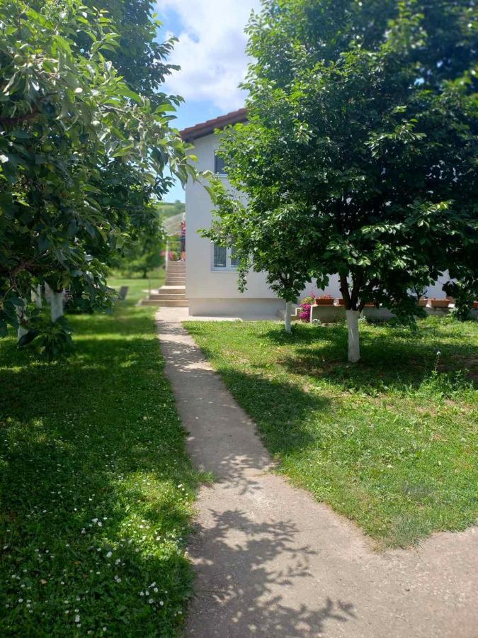 Apartman Flora Vrdnik Exterior photo