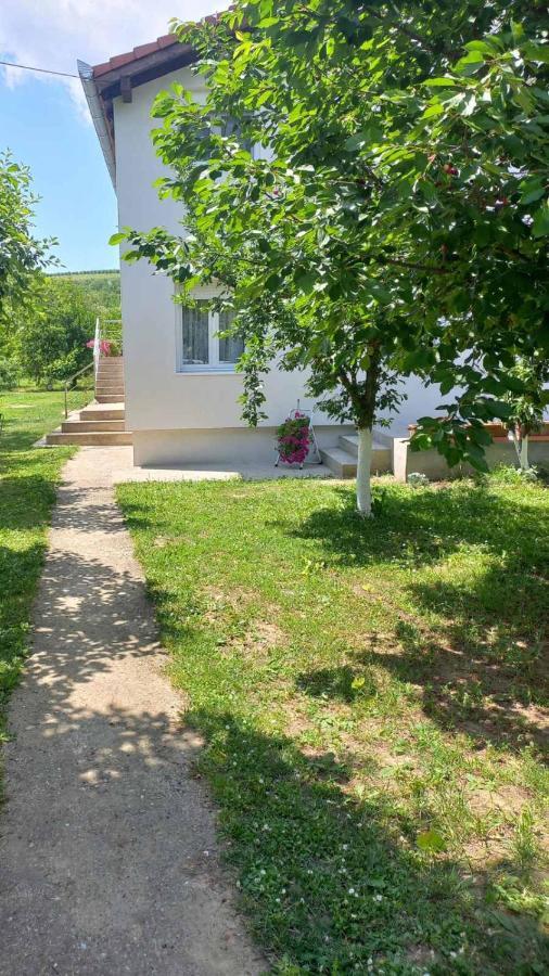 Apartman Flora Vrdnik Exterior photo