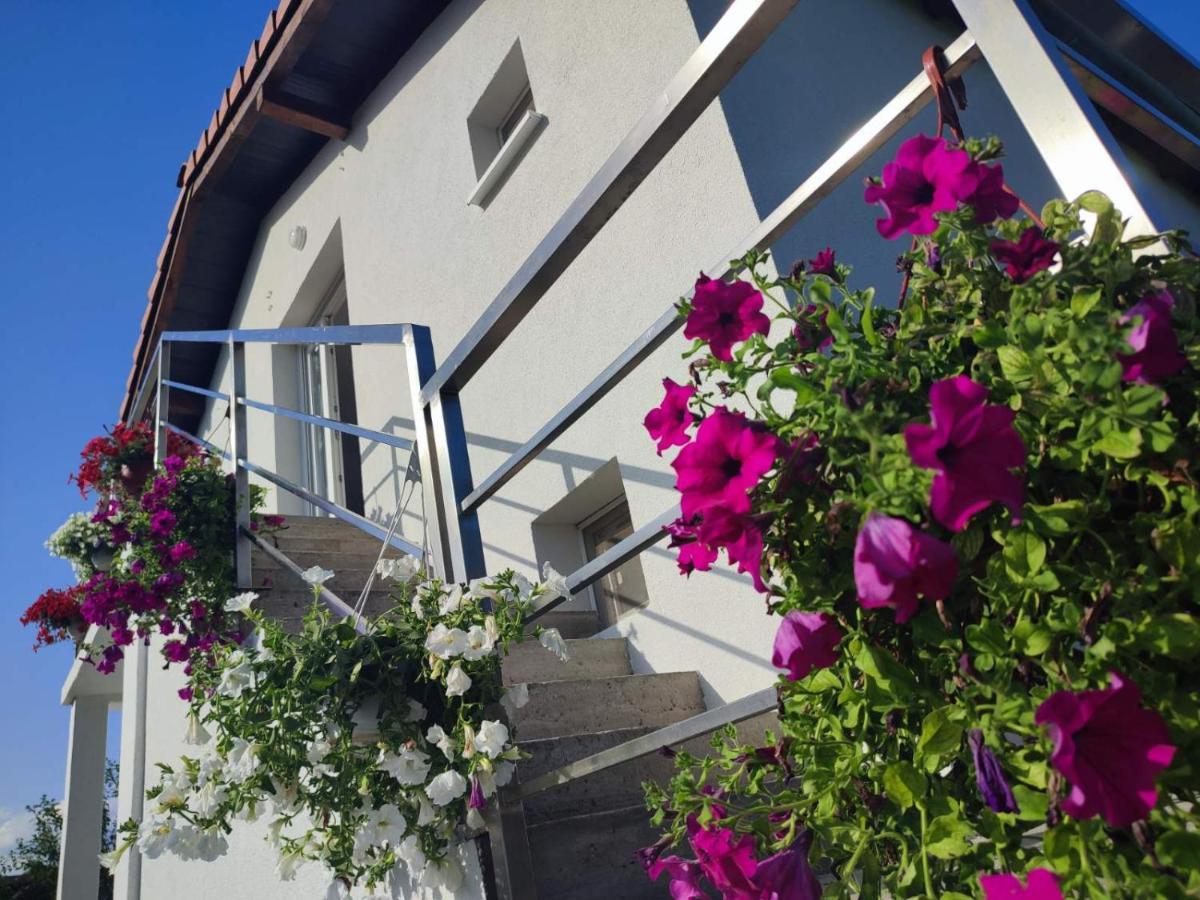 Apartman Flora Vrdnik Exterior photo